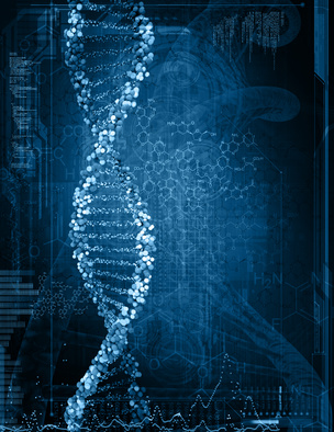 Hermetik – Beschleunigte menschliche Evolution